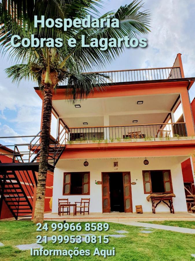 Cobras E Lagartos *